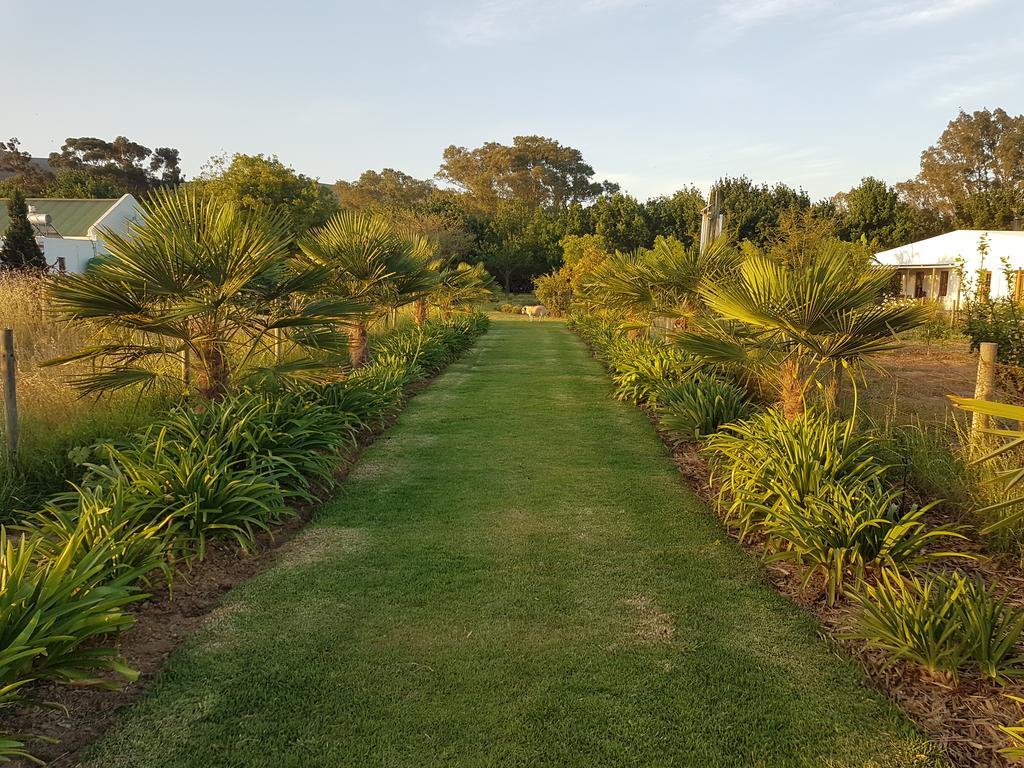 Bonnievale River Lodge المظهر الخارجي الصورة