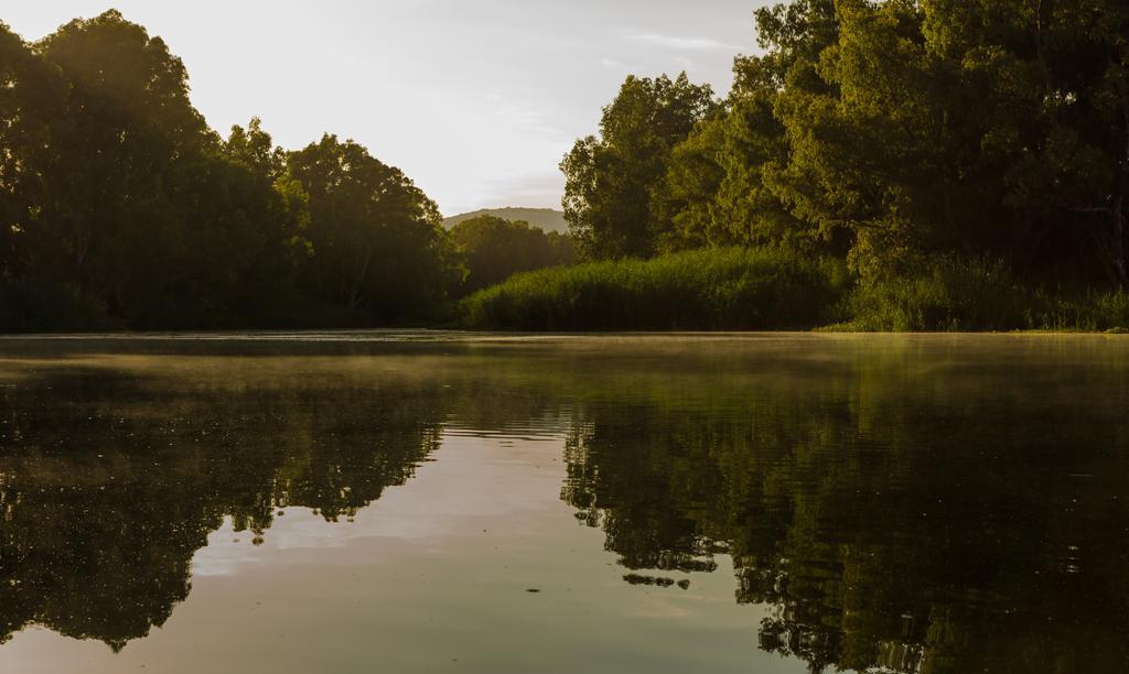 Bonnievale River Lodge المظهر الخارجي الصورة
